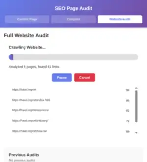 SEO Page Audit website crawl with page list and scores