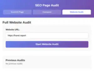 SEO Page Audit extension ready to run a full website crawl