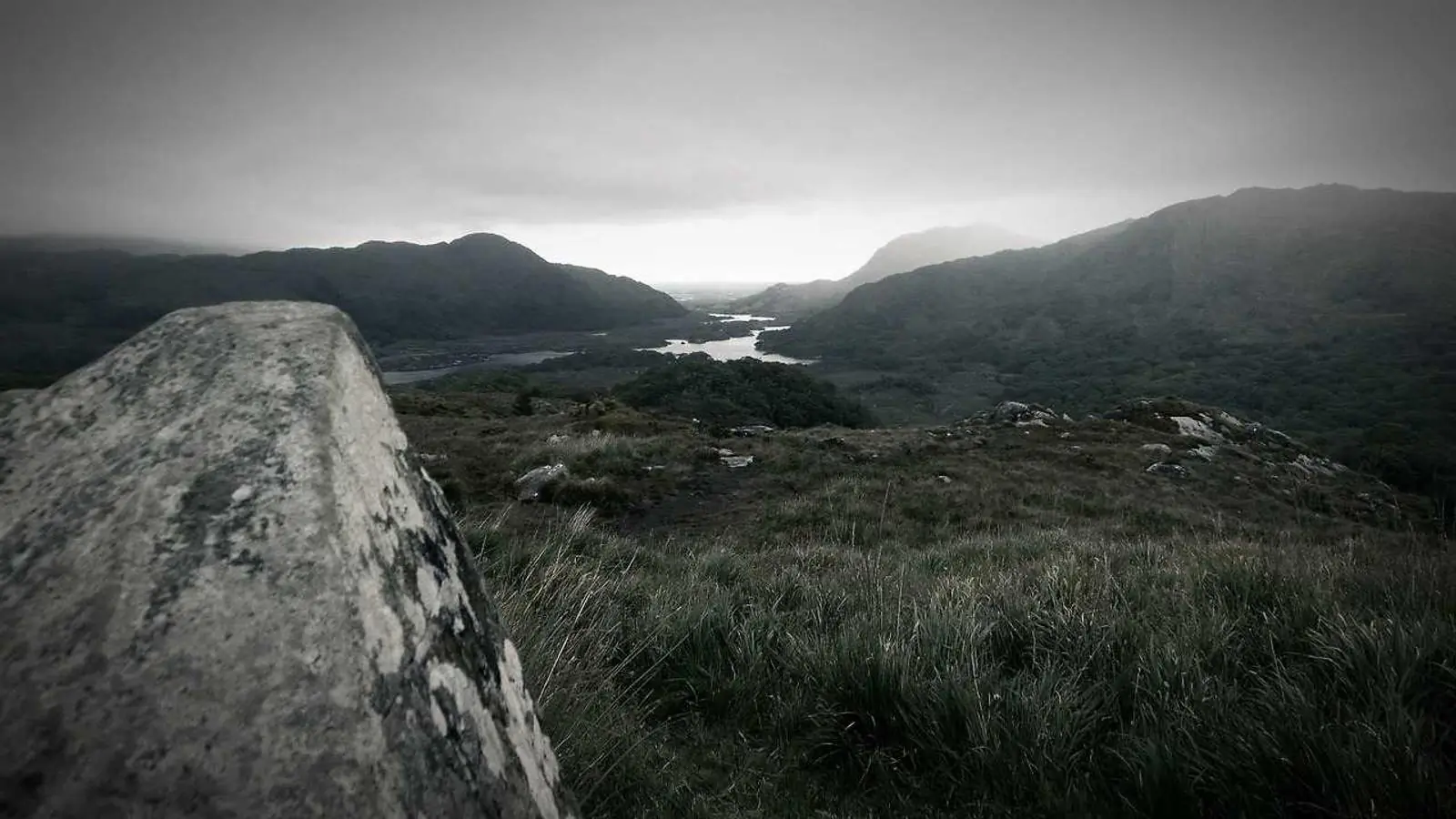 Local marketing visibility for Edmond, OK