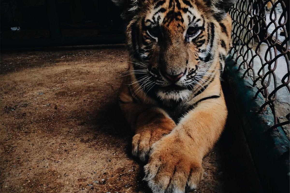 Placeholder of simple website content updates